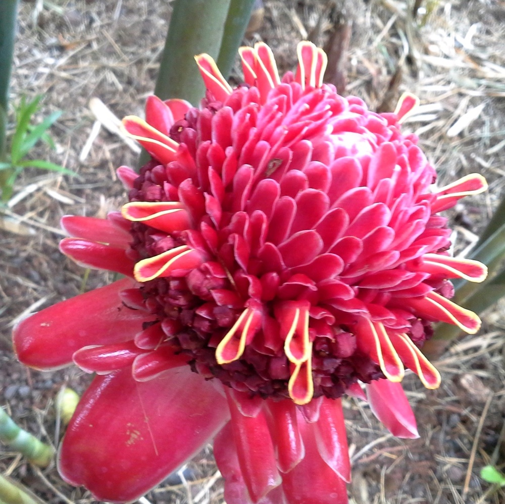 Meet your Posher, Patricia